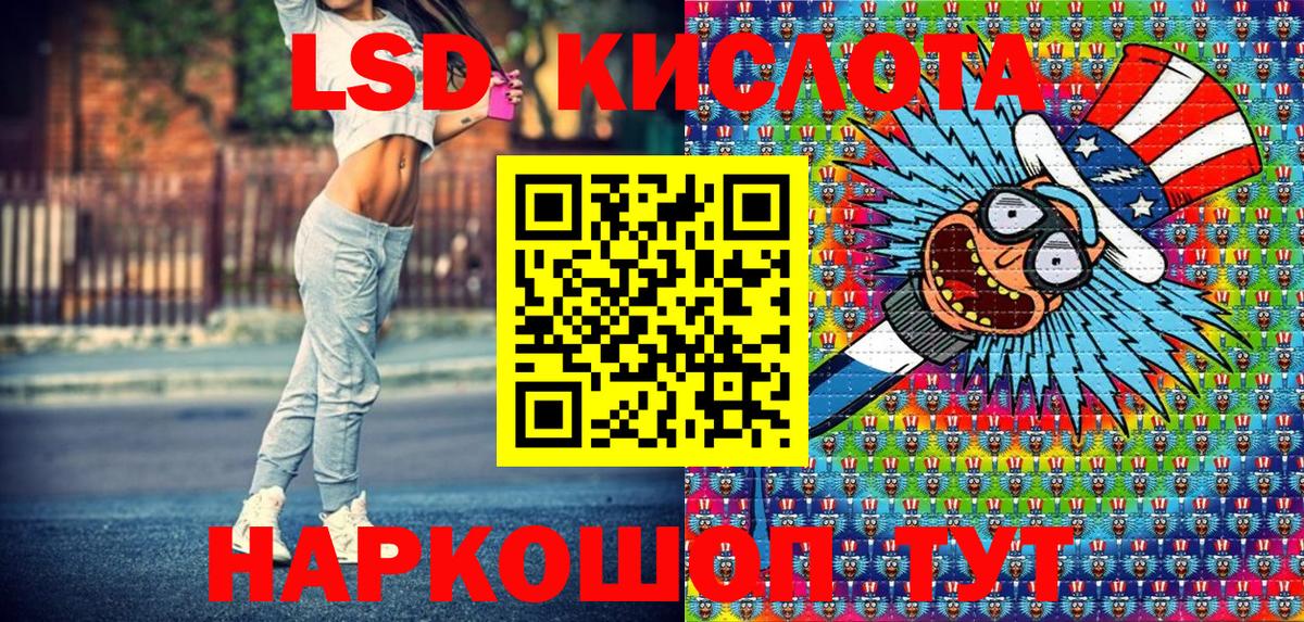 Псилоцибиновые грибы Берёзовский